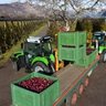 Deutz-Fahr DS TTV Orchard Tractor
