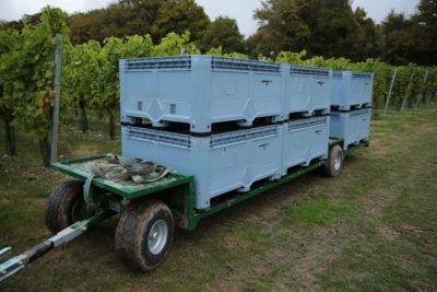 Picking Train Vineyard
