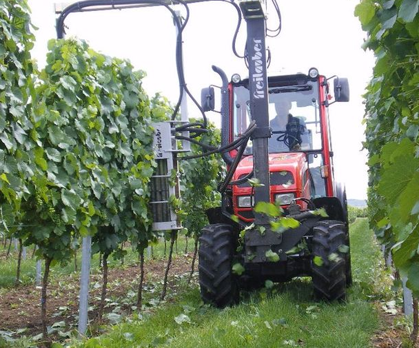 Freilauber Single Sided De-Leafer Kirkland UK 