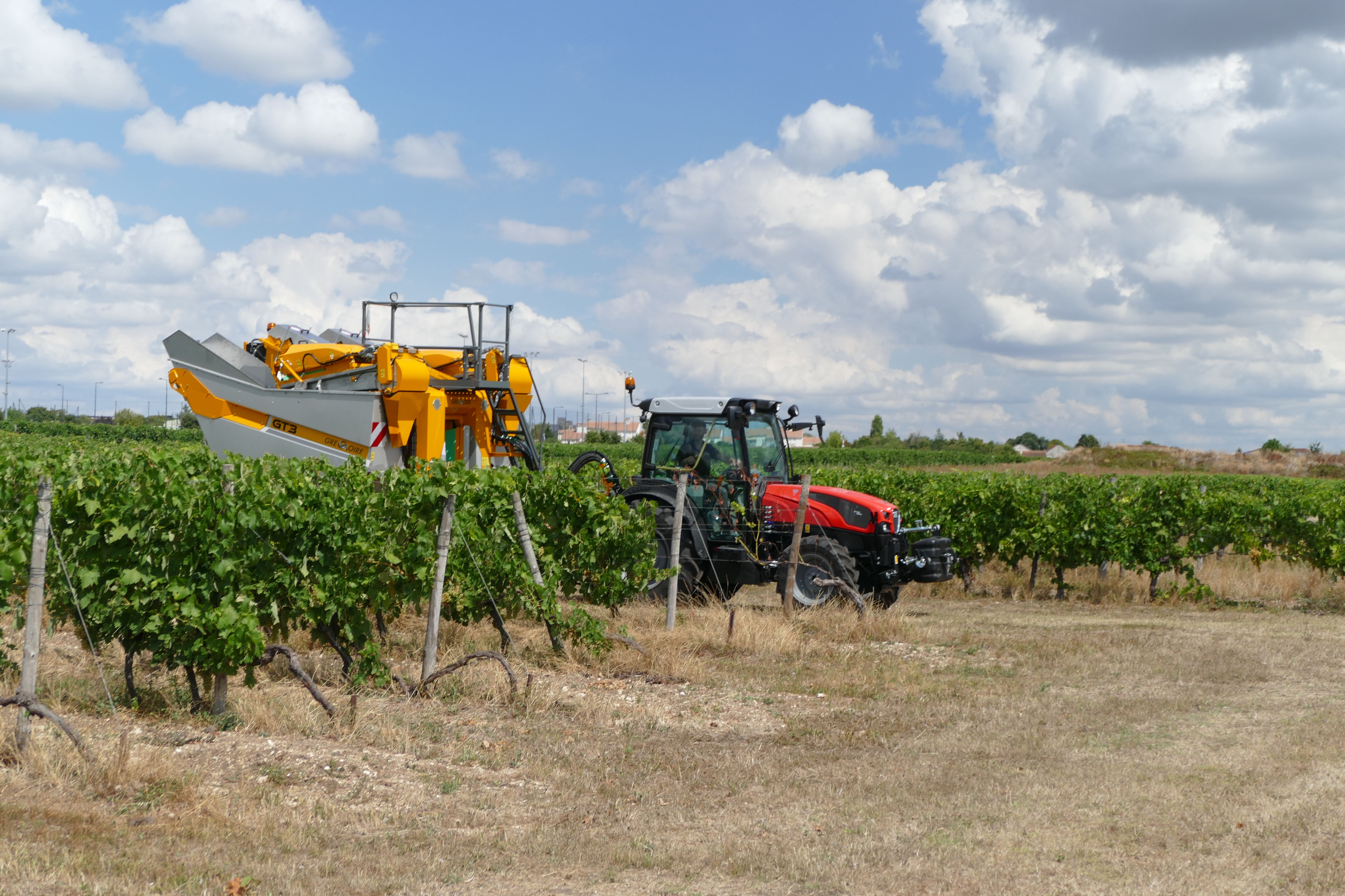 Trailed Grape Harvester UK