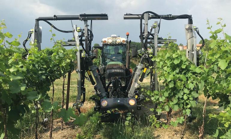 C1000 PRO TRIMMER VINEYARDS