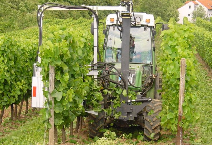 Freilauber Single Sided De-Leafer Kirkland 2