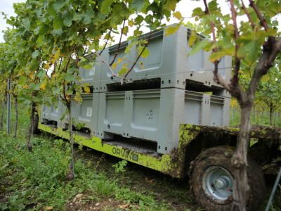 Picking Trains - Vineyard Transport Equipment