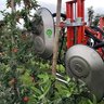 OLMI Leaf Remover for Orchards