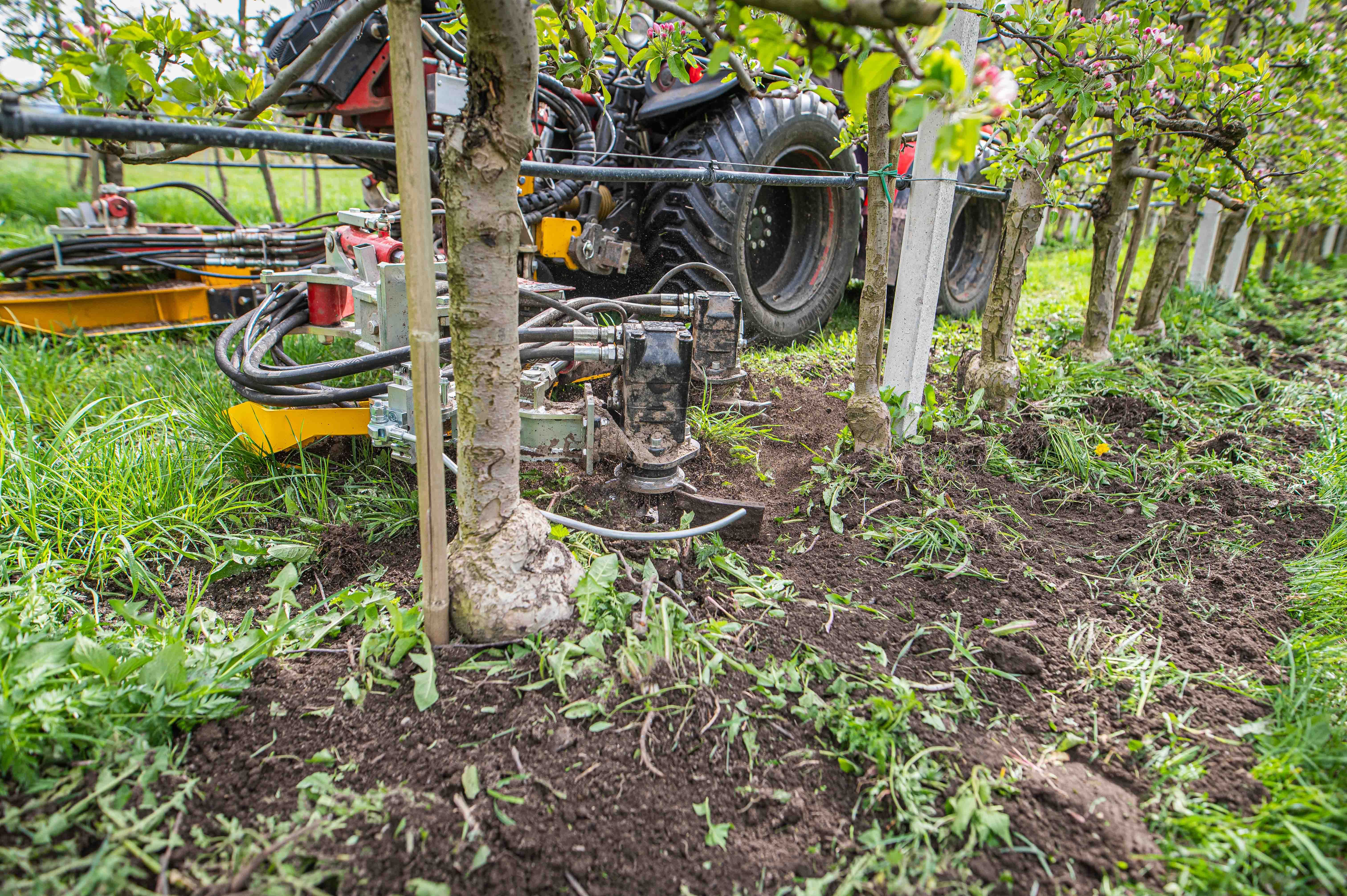 Ilmer Power Harrow for vineyard cultivation