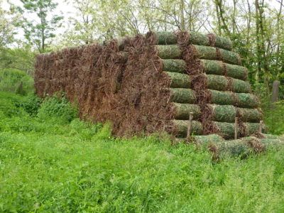 Caeb Pruning Trimmings