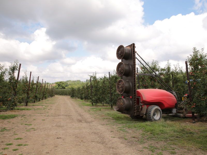 Kirkland Tower Quatt Sprayer