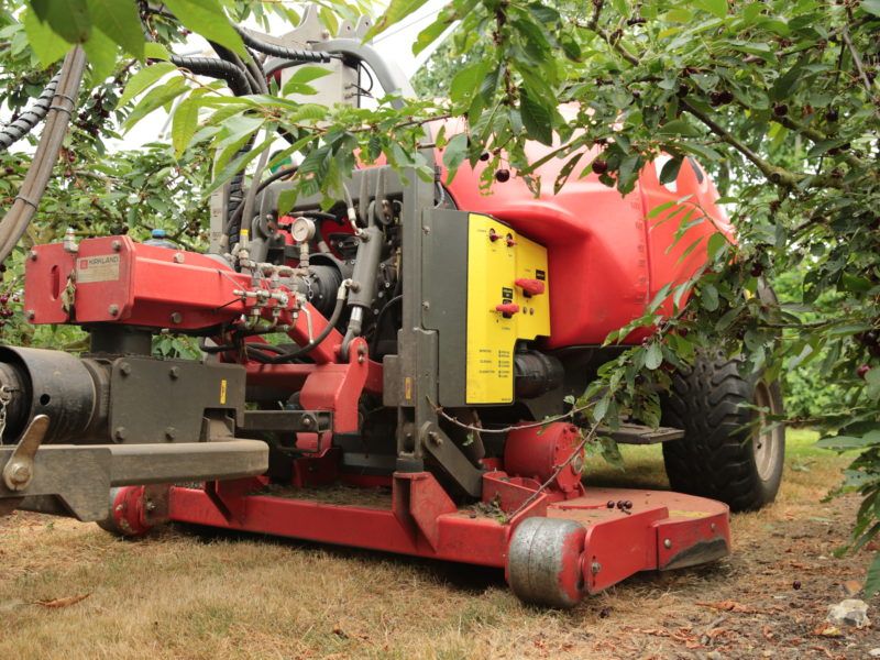 Kirkland Single Fan Sprayer