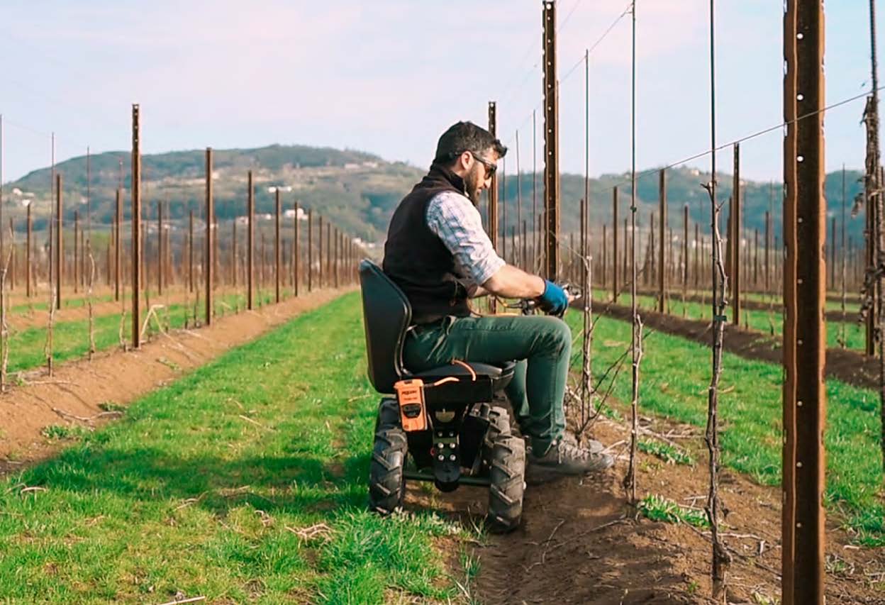 Rocky Chair Kirkland UK