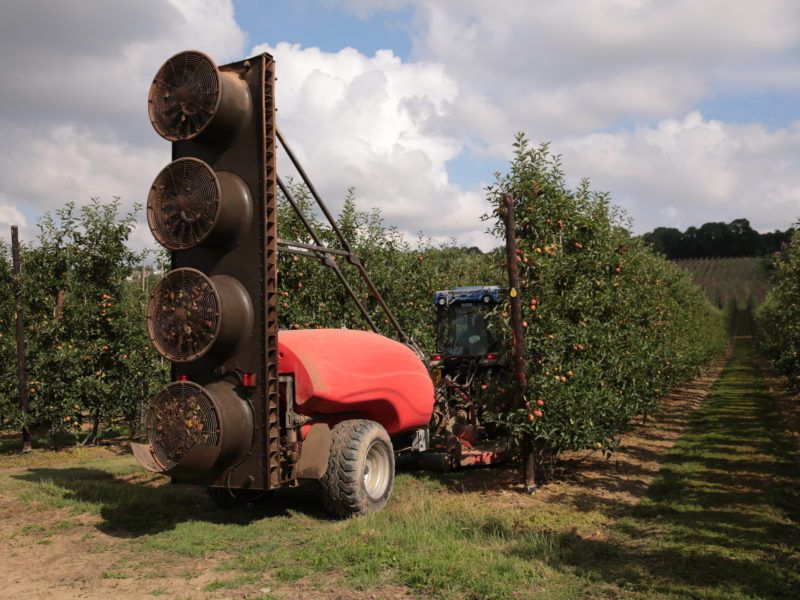 Kirkland Tower Quatt Sprayer