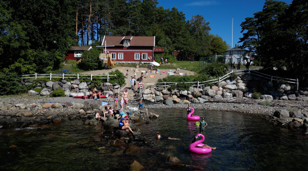 Bilde 122 fra 2023