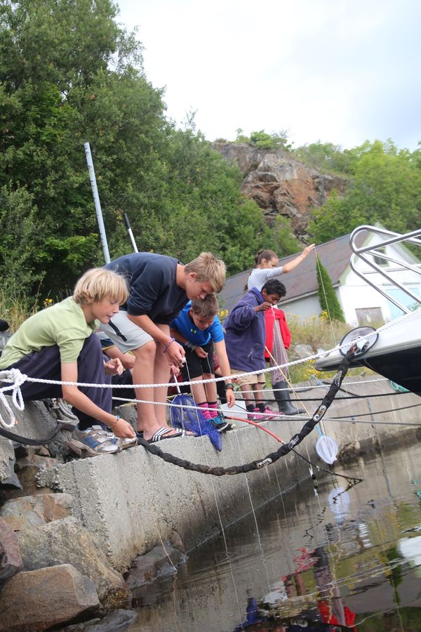 Bilde 9 fra 2016