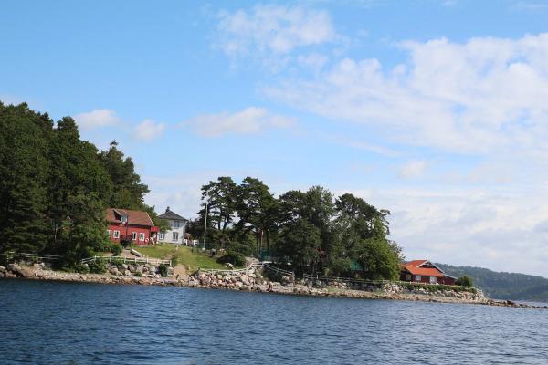 Bilde 37 fra 2017