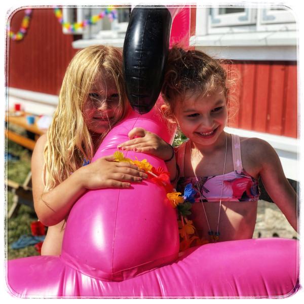 Bilde 2 fra 2019