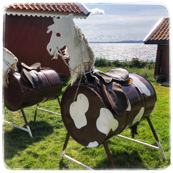 Bilde 14 fra 2019