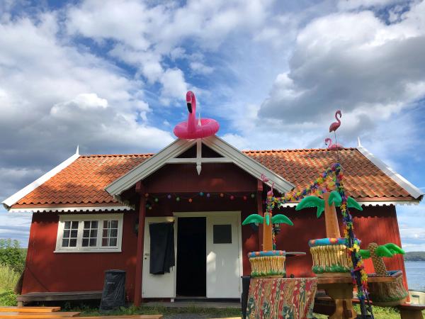 Bilde 65 fra 2019