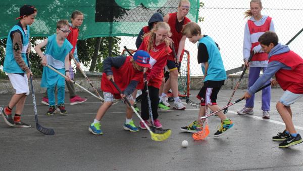 Bilde 76 fra 2014