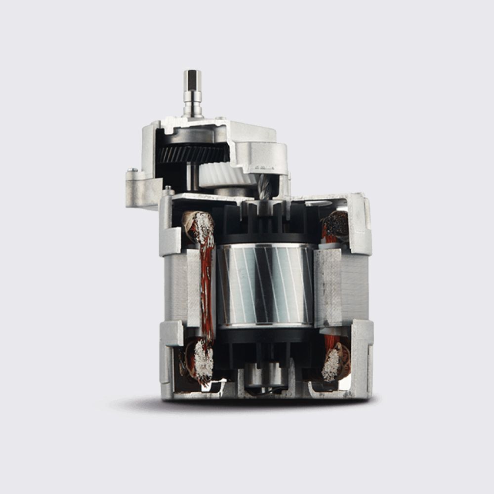 Motor
