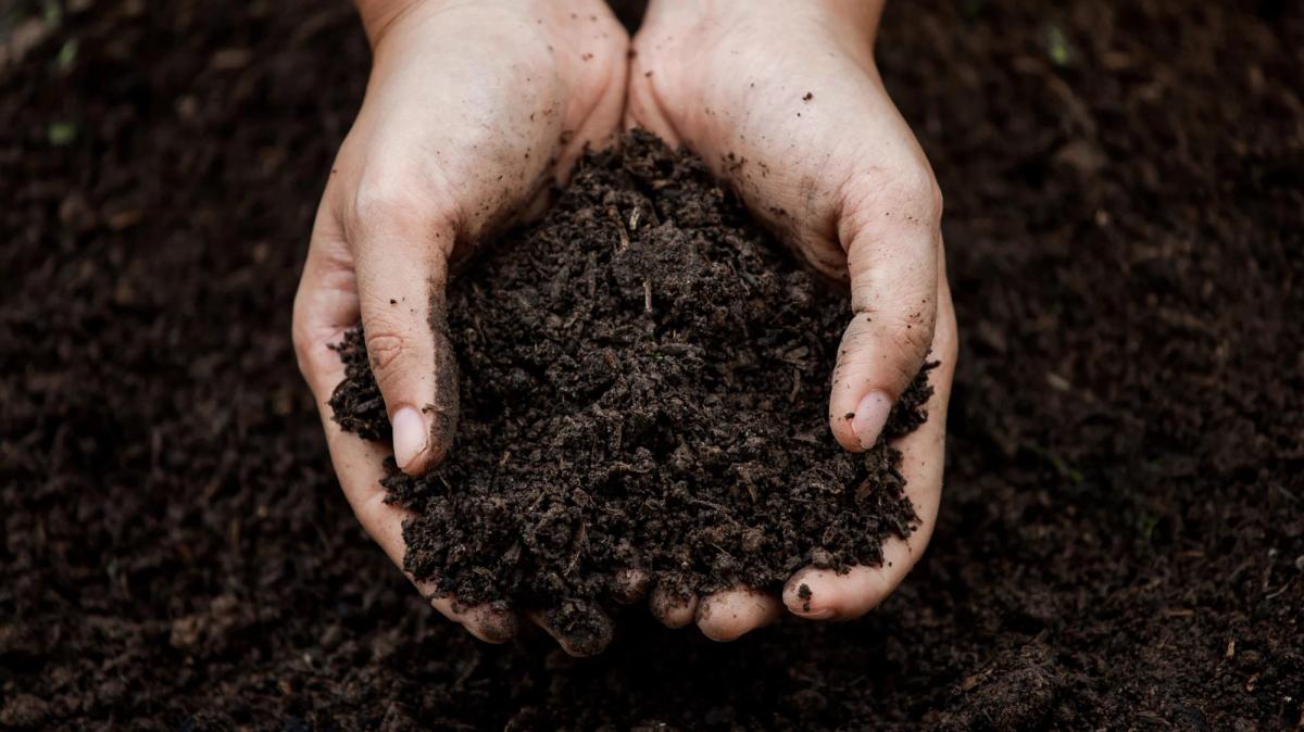 Healthy soil