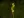 Close-up of Prairie Sedge