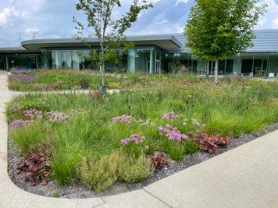 Grown plants in front of Corporate Headquarters in Chicago