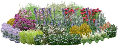 Garden banner image