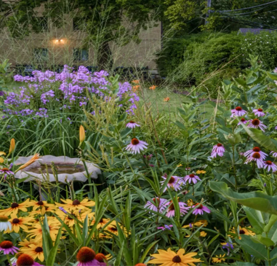 Plants My Home Park plants-my-home-park