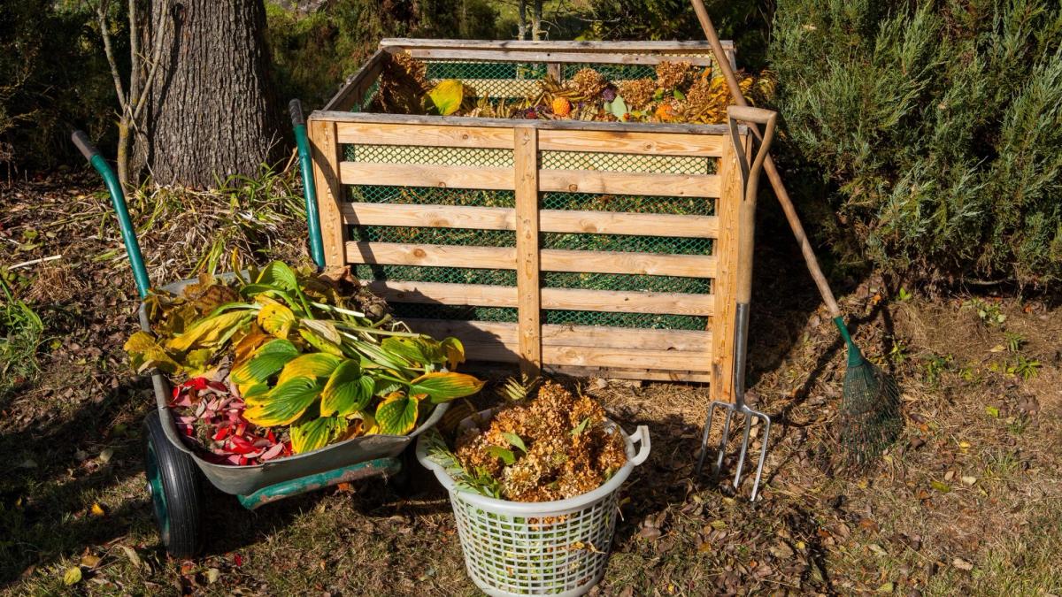 A composting bin next to a wheelbarrow with organic material