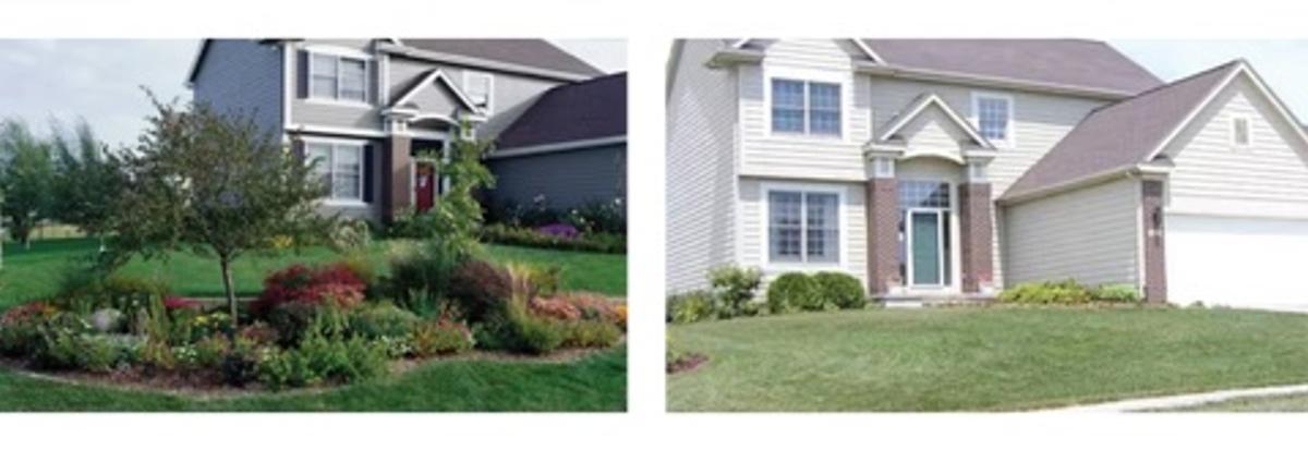 Comparison of two houses with native plants and lawn