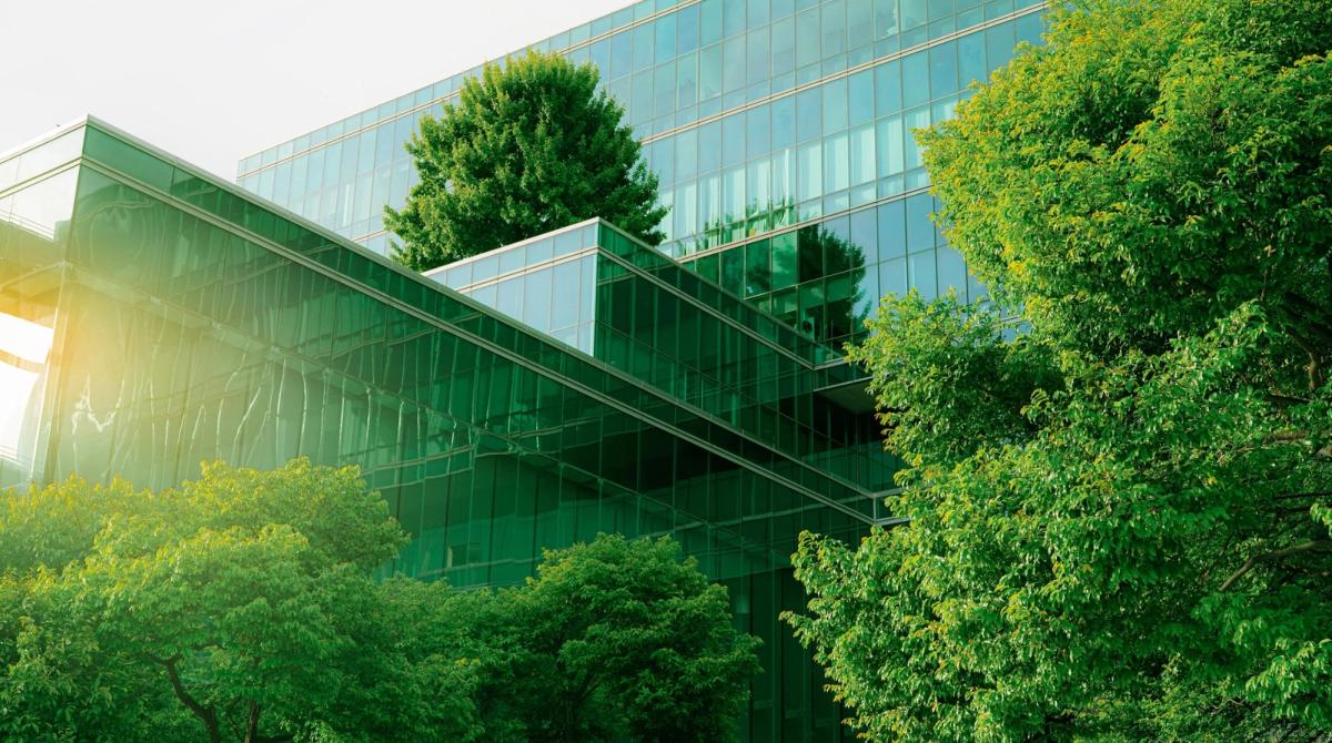 trees at an office building