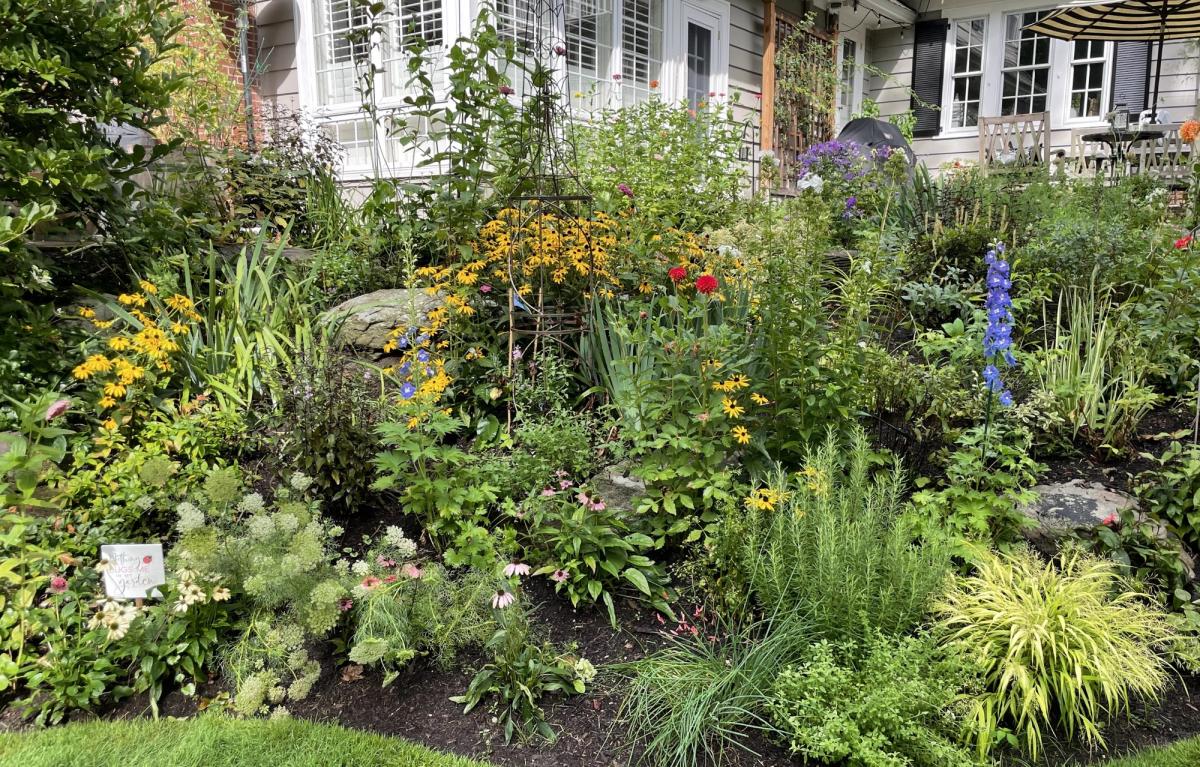 lawn with some native plants