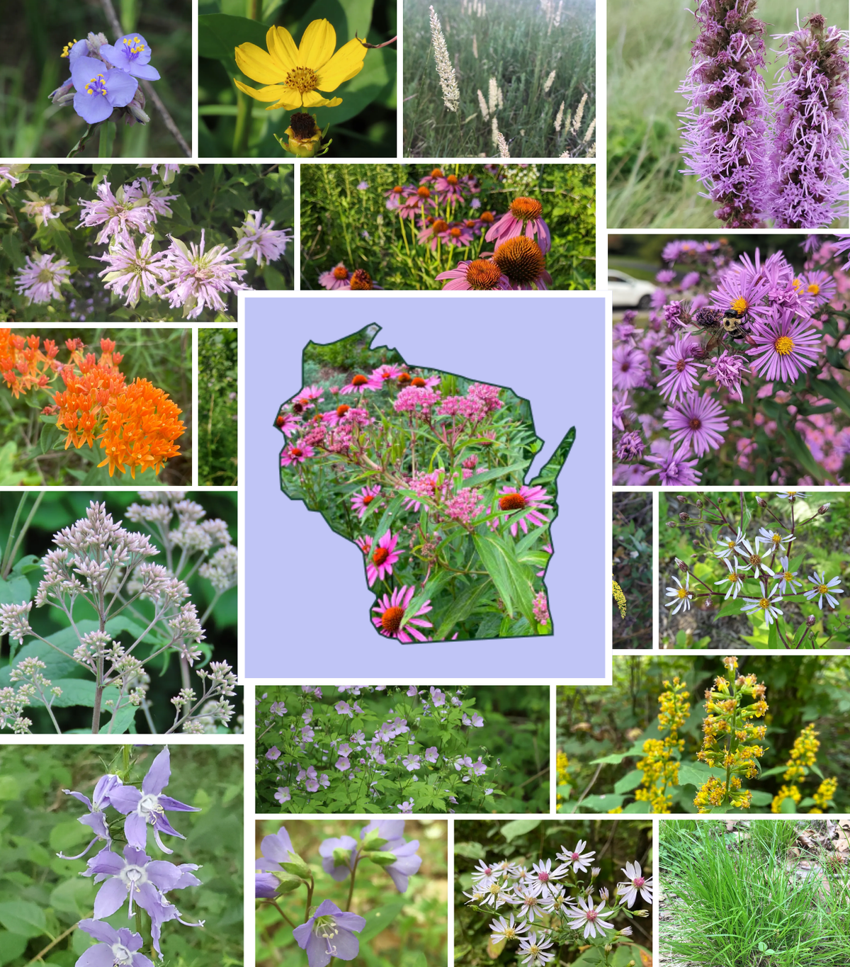 Garden Designers