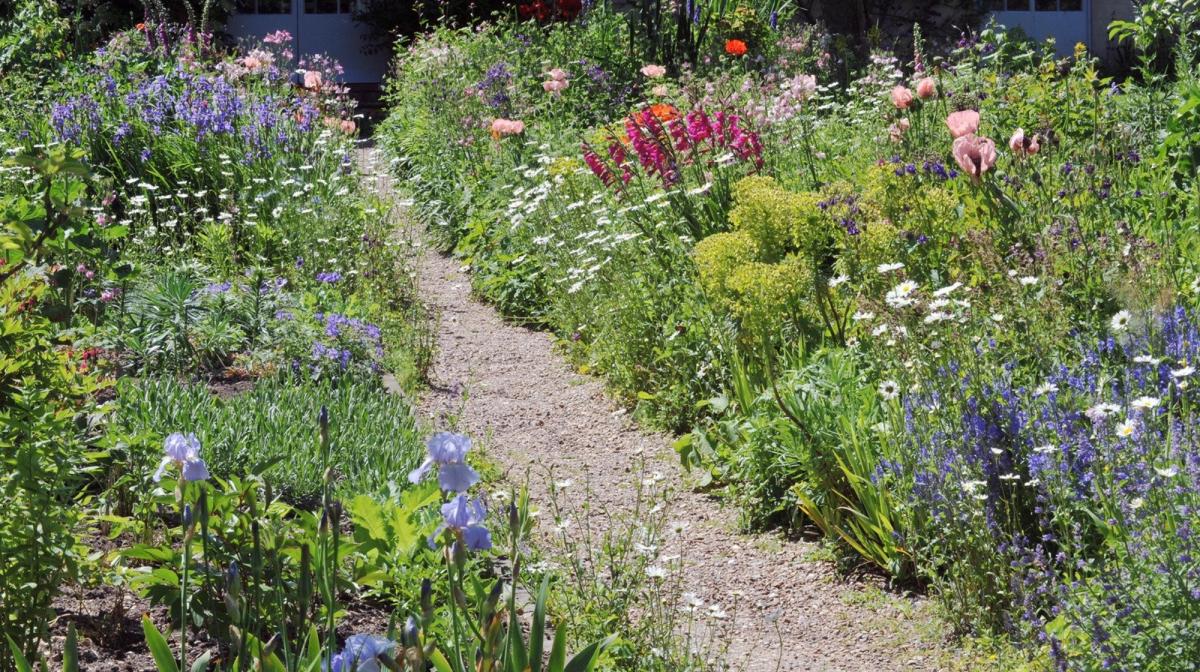 Garden with a walkway down the middle