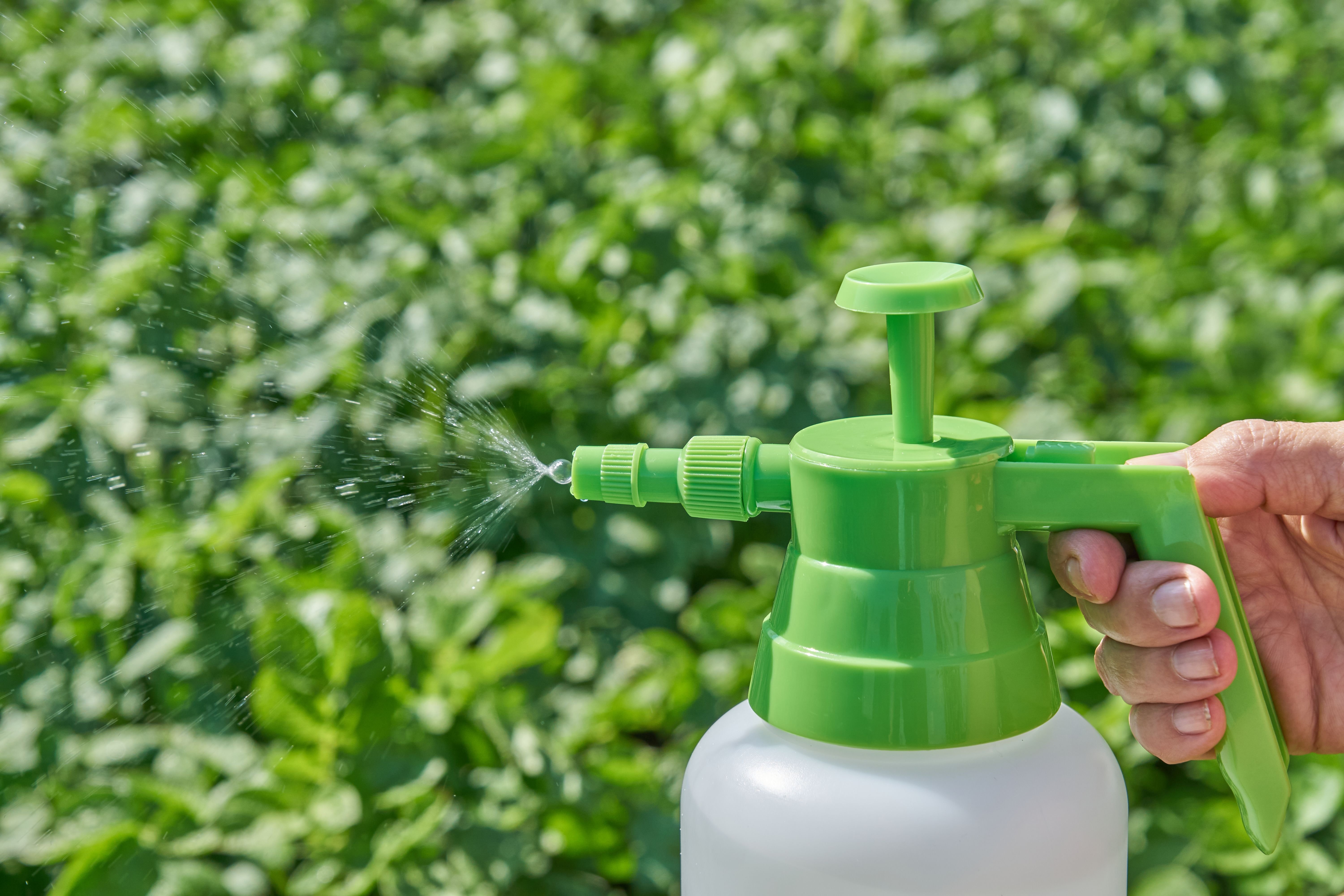 Green and white pesticide spray bottle spraying on bright green plants.