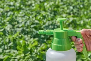 Green and white pesticide spray bottle spraying on bright green plants.