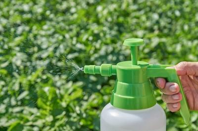 Green and white pesticide spray bottle spraying on bright green plants.