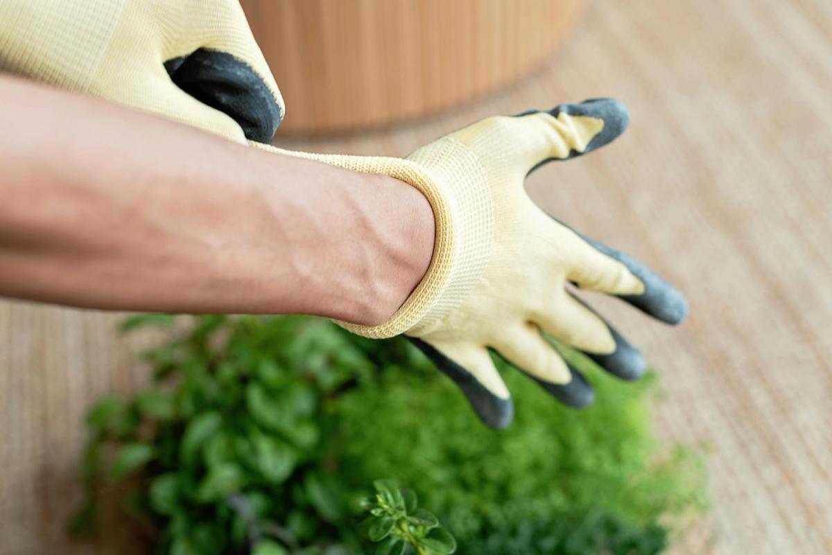 a gardener pulling yellow work gloves on