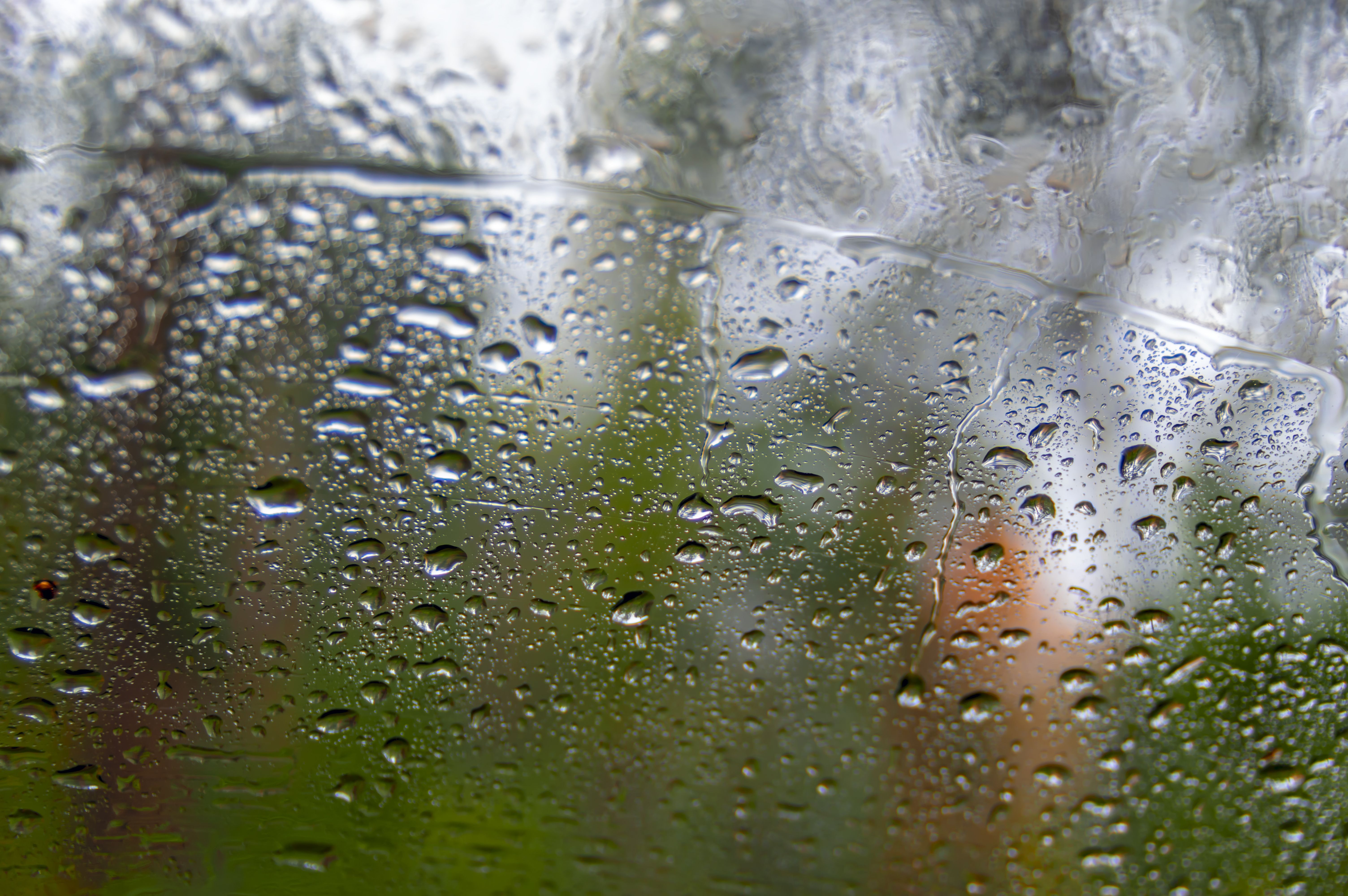 Large raindrops on a windowpane in contrasting with the dark green forest behind.