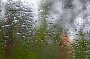 Large raindrops on a windowpane in contrasting with the dark green forest behind.