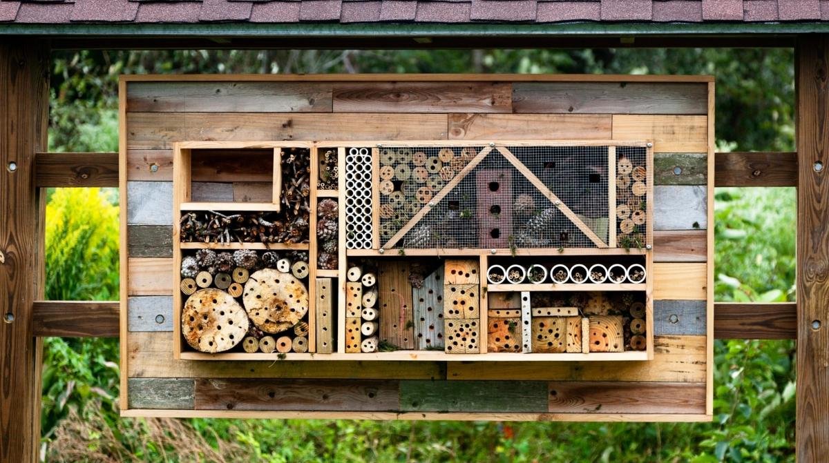 bee hotel in a field