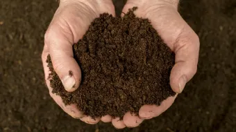 Hands Holding Healthy Soil