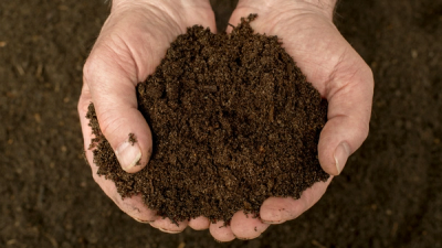 Hands Holding Healthy Soil