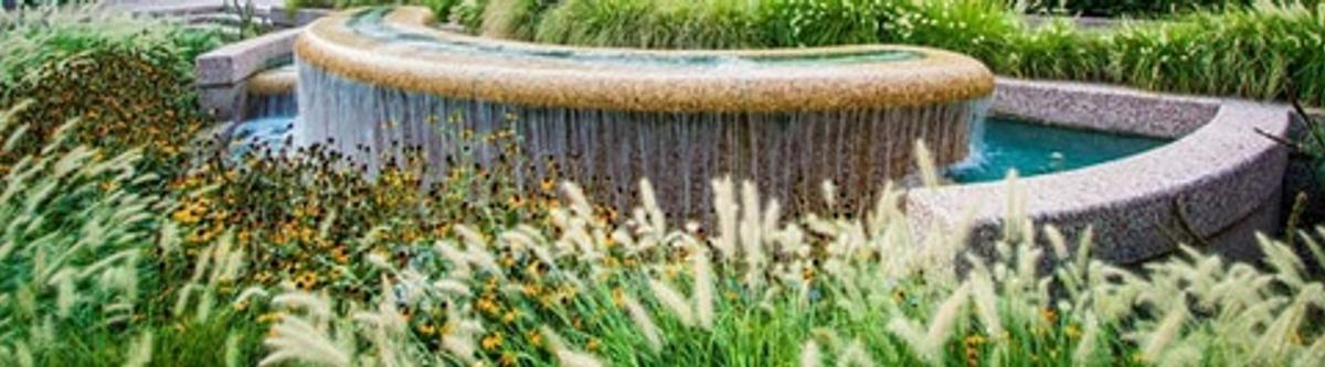 Water feature with plants
