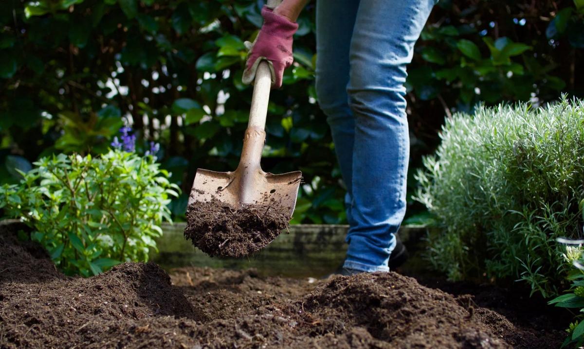 a person digging in the soil