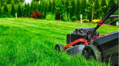 lawn mower in a lawn