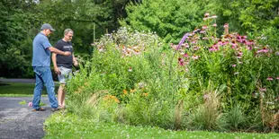 Two men standing around a garden full of flowers.