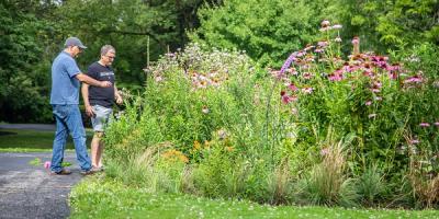 Two men standing around a garden full of flowers.