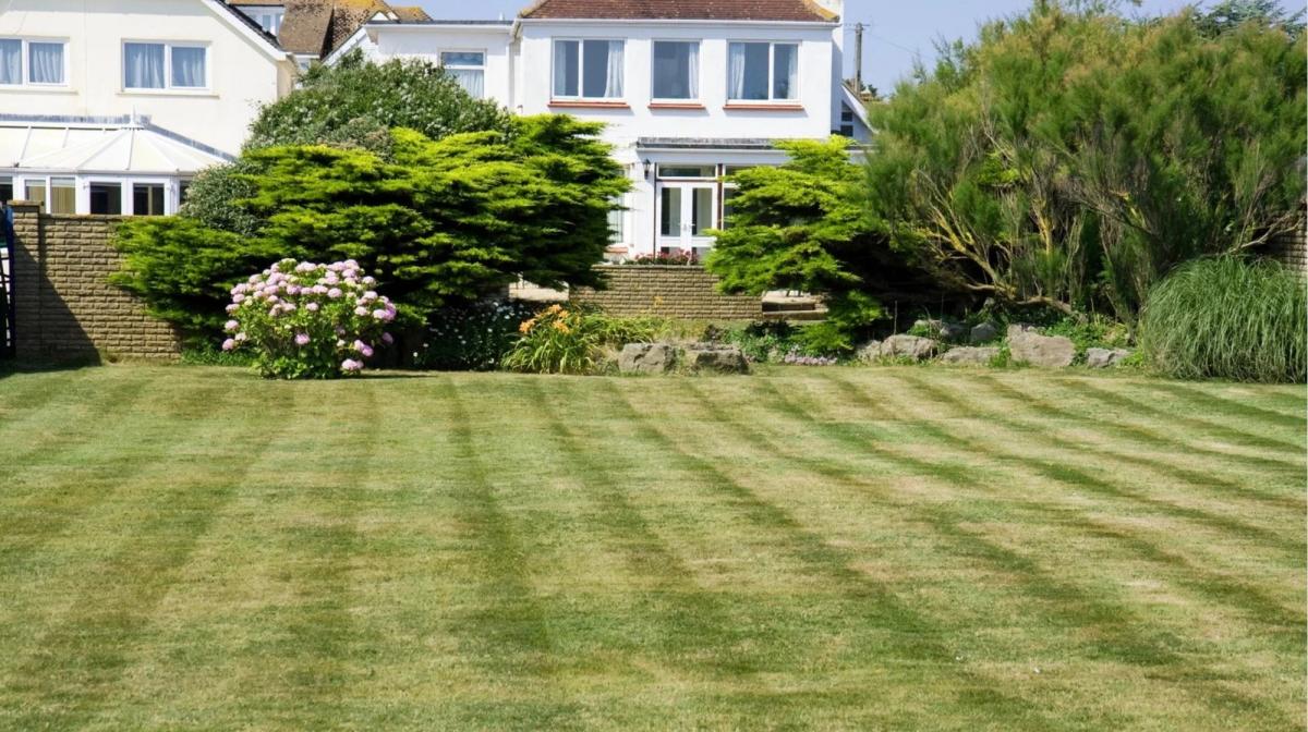 traditional backyard