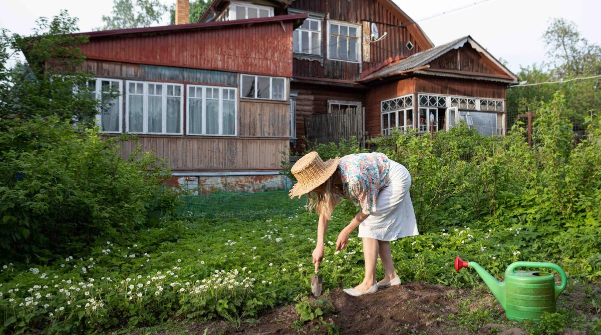 A woman preparing the ground for a garden