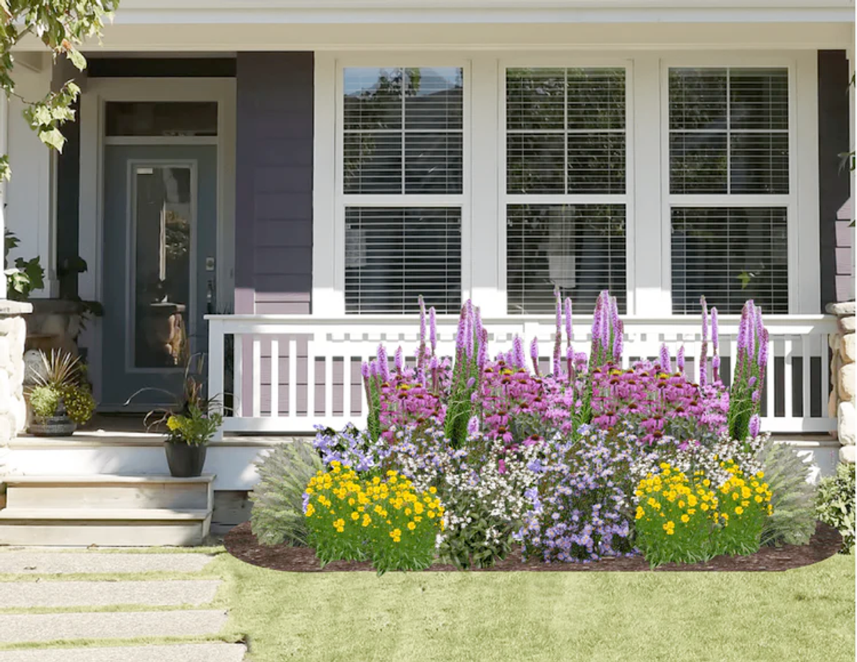native plant garden rendering for homeowner by my home park